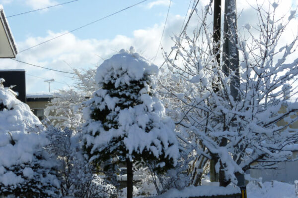 ドカ雪の原因は暖冬化